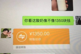 新华要账公司更多成功案例详情